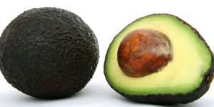 아보카도, avocado 14가지 정보 [기리당 요리조리]