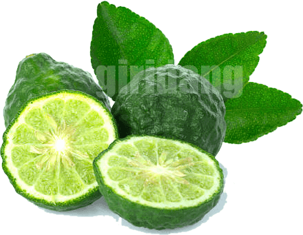 의창지(Citrus cavaleriei),효능,부작용,영양가등에 관한 7가지 정보