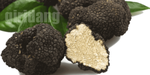 [송로버섯]truffles, 효능, 부작용, 먹는 방법등에 관한 8가지 정보