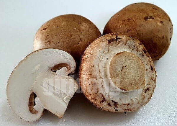 양송이버섯,Button mushroom,양송이버섯 영어로,