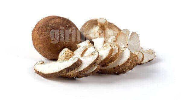 표고버섯,shiitake,mushrooms,shiitake mushrooms,표고버섯 영어로,