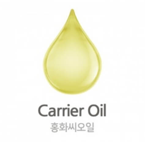 홍화씨유(Safflower Seed Oil)에 관한 6가지 정보