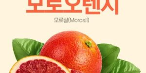 모로오렌지(moro blood orange)에 관한 6가지 정보