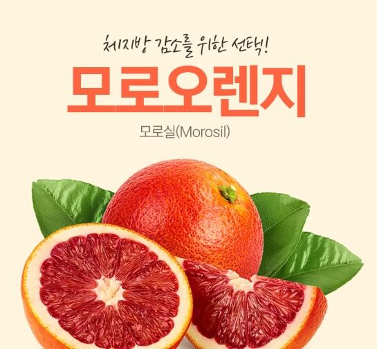 모로오렌지(moro blood orange)에 관한 6가지 정보