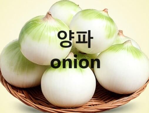 신장(콩팥)에 좋은 양파(onion) 6가지 정보