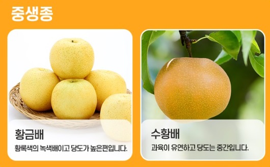 배,Pear,배 영어로,배즙 영어로,pear juice,pear extract