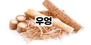 아토피에 좋은 음식 우엉(Burdock root) 6가지 정보
