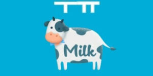 단백질 함량이 높은 음식 우유(milk) 6가지 정보