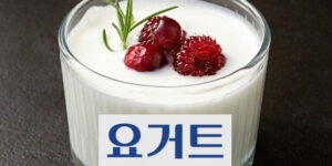 단백질 함량이 높은 음식 요거트(yogurt) 6가지 정보