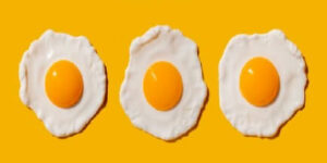 단백질 함량이 높은 음식 계란(egg) 6가지 정보