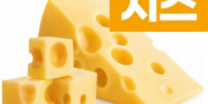 단백질 함량이 높은 음식 치즈(cheese) 6가지 정보