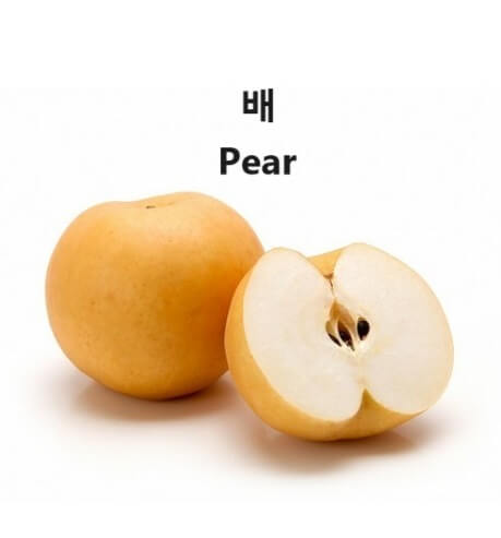 감기에 좋은 음식 배(pear) 6가지 정보