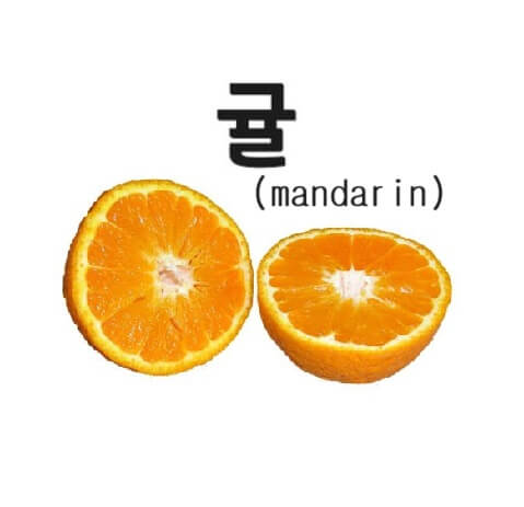 감기에 좋은 음식 귤(mandarin) 6가지 정보